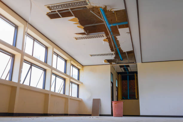 Best Water damage cleanup near me  in Bel Air, MD