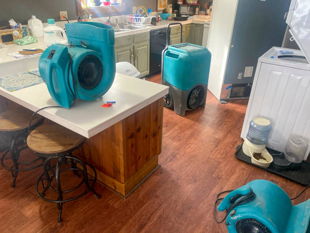 Best Water damage contractors near me  in Bel Air, MD