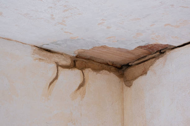 Best Mold removal after water damage  in Bel Air, MD