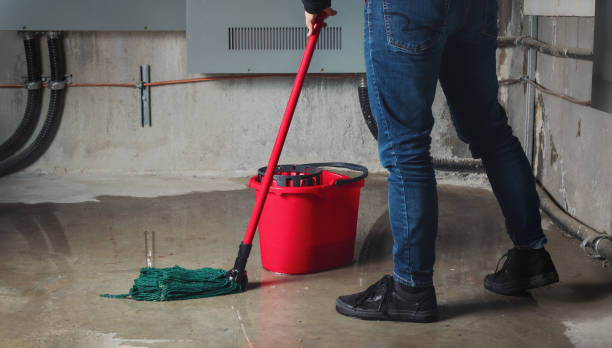 Best Basement water damage restoration  in Bel Air, MD