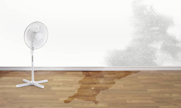 Best Ceiling water damage repair  in Bel Air, MD