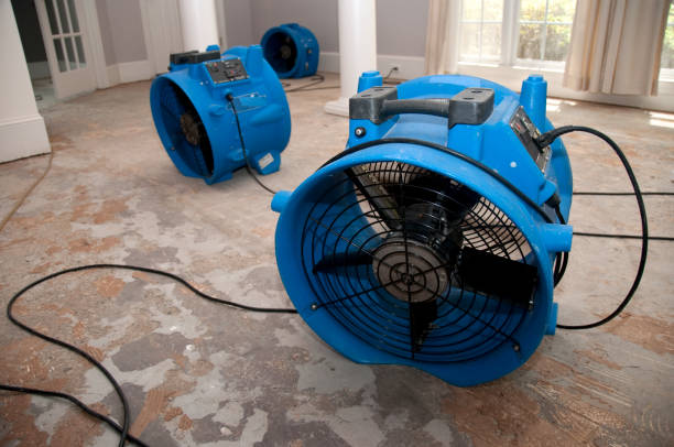 Best Water damage mitigation services  in Bel Air, MD