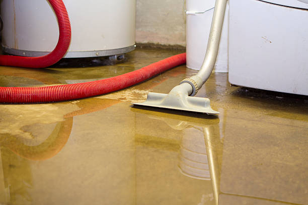 Best Local water damage restoration  in Bel Air, MD