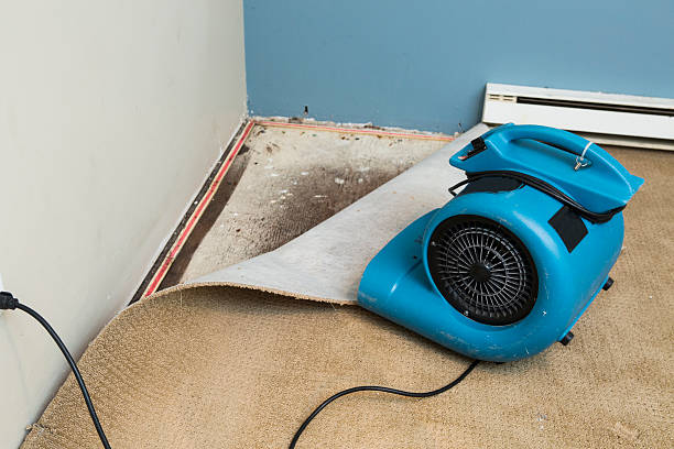 Best Water damage cleanup near me  in Bel Air, MD